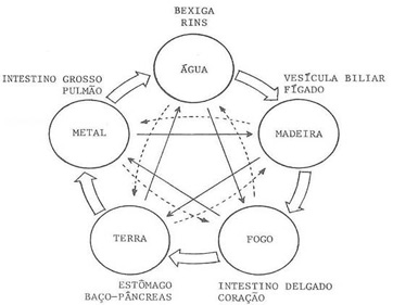 os 5 elementos e os orgãos